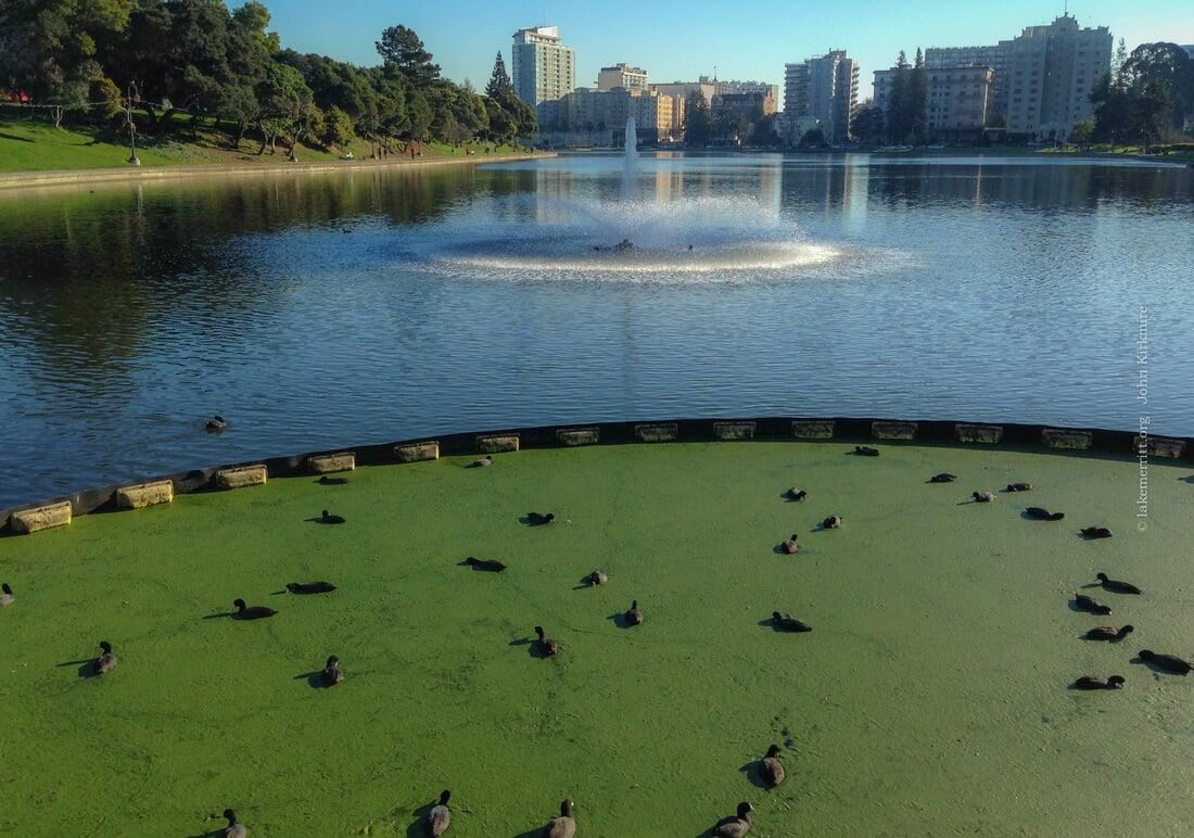19- Lake Merritt, Oakland