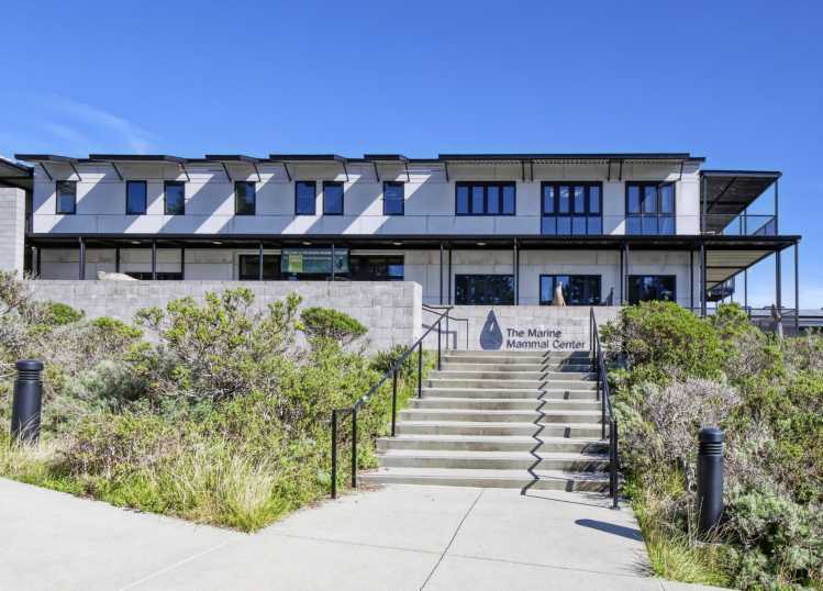 7- The Marine Mammal Center, Sausalito