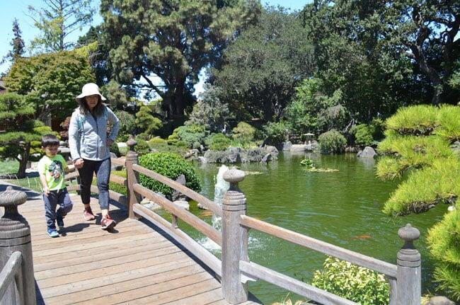 The San Mateo Japanese Garden, San Mateo